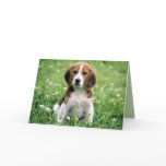Beagle Greetings cards