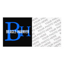 Beagle-Harrier Breed Monogram