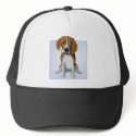 Beagle hats