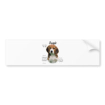 Beagle History Design