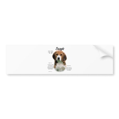 Beagle History Design by GreyWolfCreation