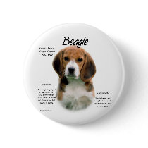 Beagle History Design