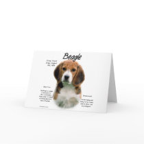 Beagle History Design