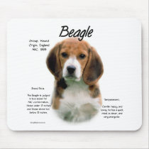 Beagle History Design