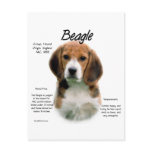 Beagle History Design
