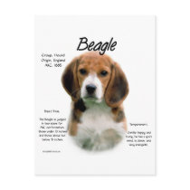 Beagle History Design