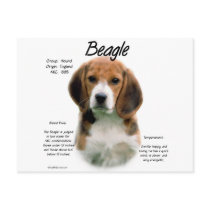 Beagle History Design