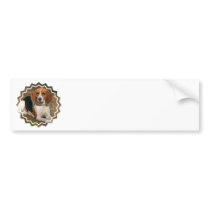 Beagle Hound Bumper Stickers