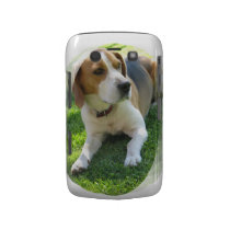 Beagle Hound Dog Blackberry Bold Case