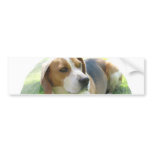 Beagle Hound Dog Bumper Sticker bumper stickers