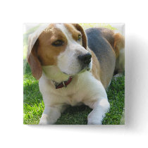 Beagle Hound Dog Square Pin