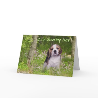 Beagle In Forest Adorable Greeting Card by normagolden