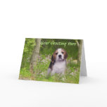Beagle In Forest Adorable Greeting Card