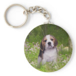 Beagle In Forest Keychain