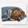Beagle in jeans mouse pads
