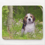 Beagle In The Forest Mousepad