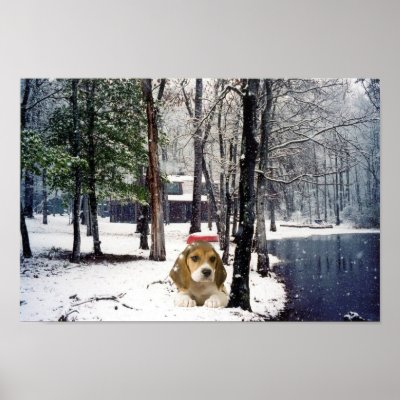 Beagle In The Snow Poster by normagolden