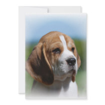 Beagle Invitations