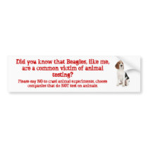 Beagle Like me/animal testing Bumper Stickers