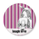 Beagle magnets