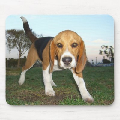 Beagle mouse pad by denvercris
