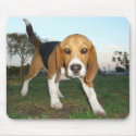 Beagle mouse pad mousepads