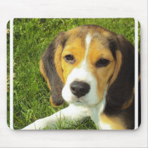 Beagle Mouse Pad