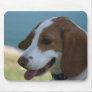 Beagle Mouse Pads