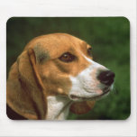 Beagle Mousepads