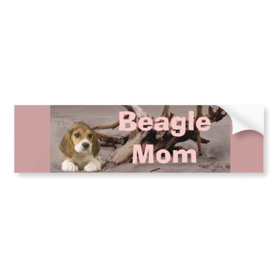 Beagle Mum Bumper Sticker by normagolden