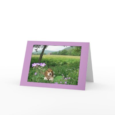 Beagle My Heart Is Yours Card by normagolden
