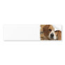 Beagle Pictures Bumper Sticker