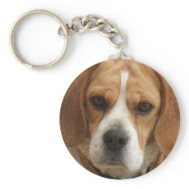 Beagle Pictures Keychain
