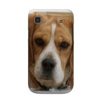 Beagle Pictures Samsung Galaxy Case