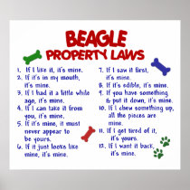 BEAGLE PL2