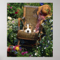 Beagle Poster In The Garden Chair posters