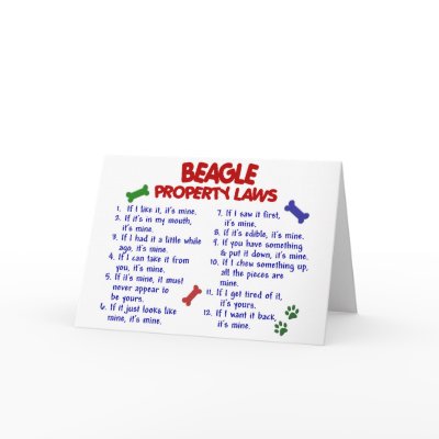 BEAGLE Property Laws 2 by poochloverstuff