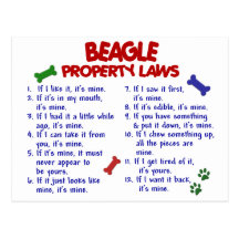 BEAGLE Property Laws 2 Post Card