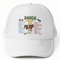 Beagle Property Laws 4