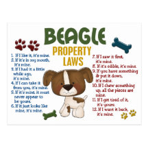 Beagle Property Laws 4 Post Cards