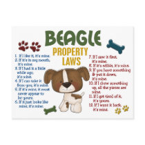 Beagle Property Laws 4