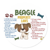 Beagle Property Laws 4
