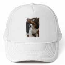 Beagle Pup Baseball Cap Hats