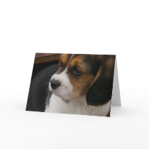 Beagle Pup Greeting Card