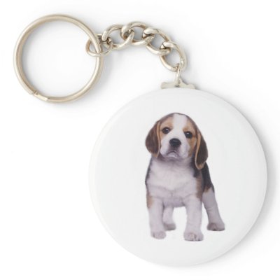 Beagle Pup Keychain by normagolden