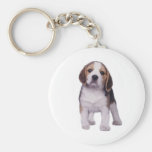 Beagle Pup Keychain
