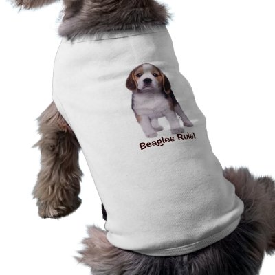 Beagle Pup Pet Clothing by normagolden