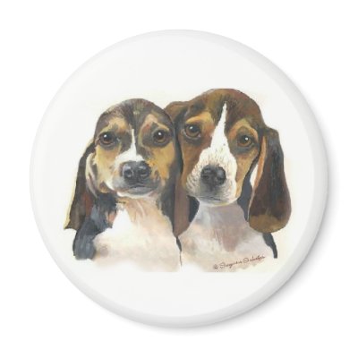 Beagle Puppies Magnet by ZannyPetz