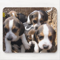 beagle puppies mouse pad