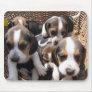 beagle puppies mouse pad
